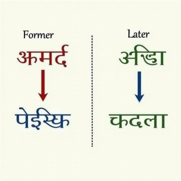 Hindi Meaning of Latter