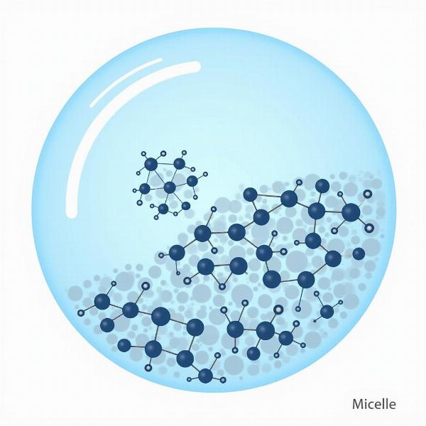 Micelle Meaning in Hindi: A Comprehensive Guide