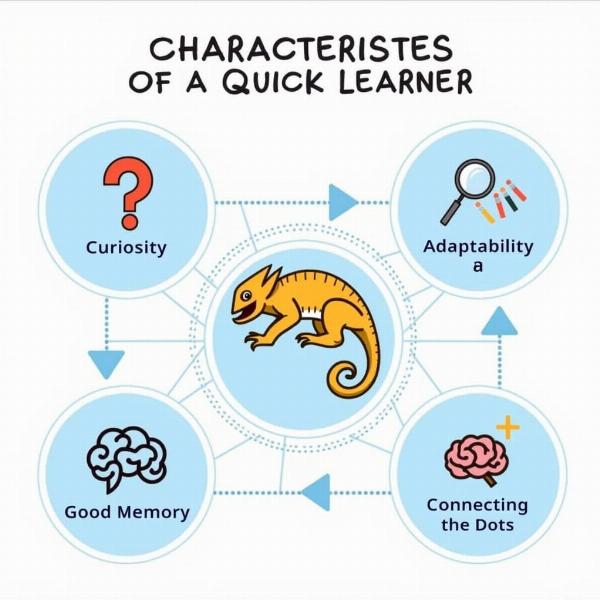 Characteristics of a Quick Learner