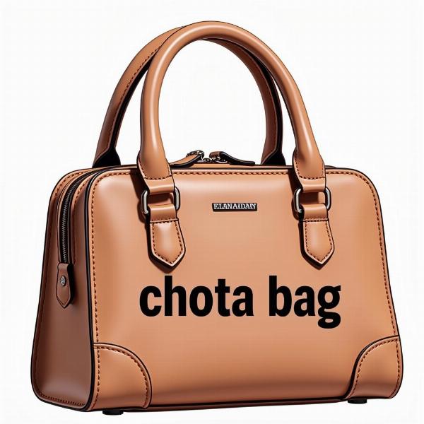 Reticule (Chota Bag) in Hindi