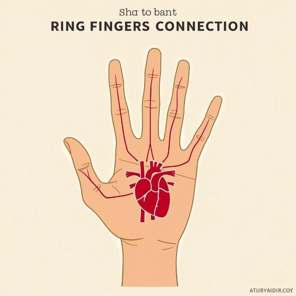 Ring Finger Ayurveda Connection